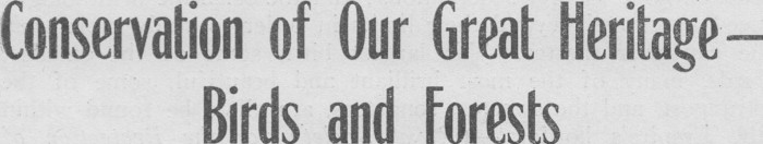 Article image