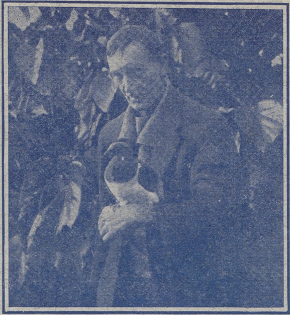 Article image
