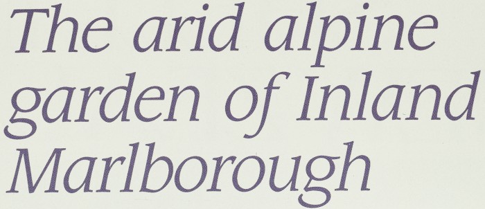 Article image
