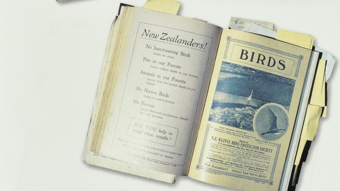 Article image