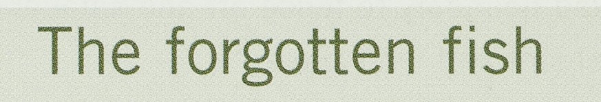 Search result preview image