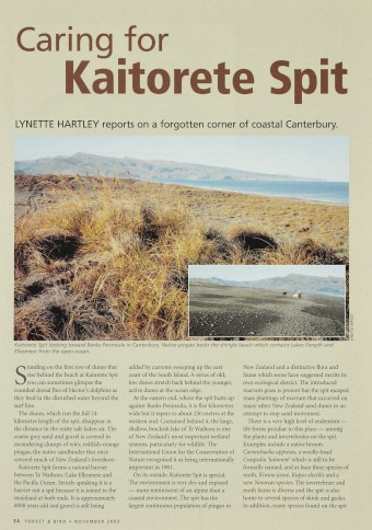Issue page