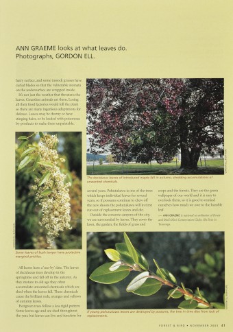 Issue page