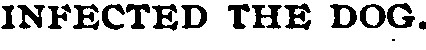 Search result preview image