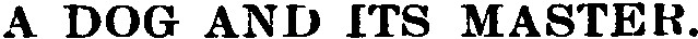 Search result preview image