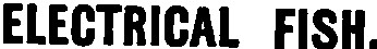 Search result preview image