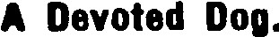 Search result preview image