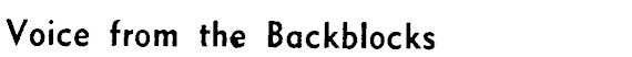 Article image