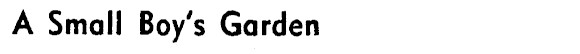 Article image
