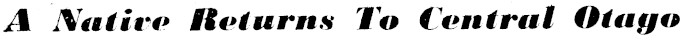 Article image