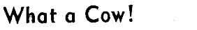 Article image