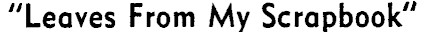 Article image