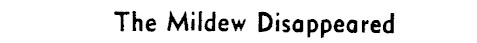 Article image