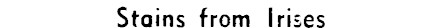 Article image