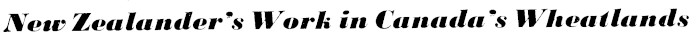 Article image