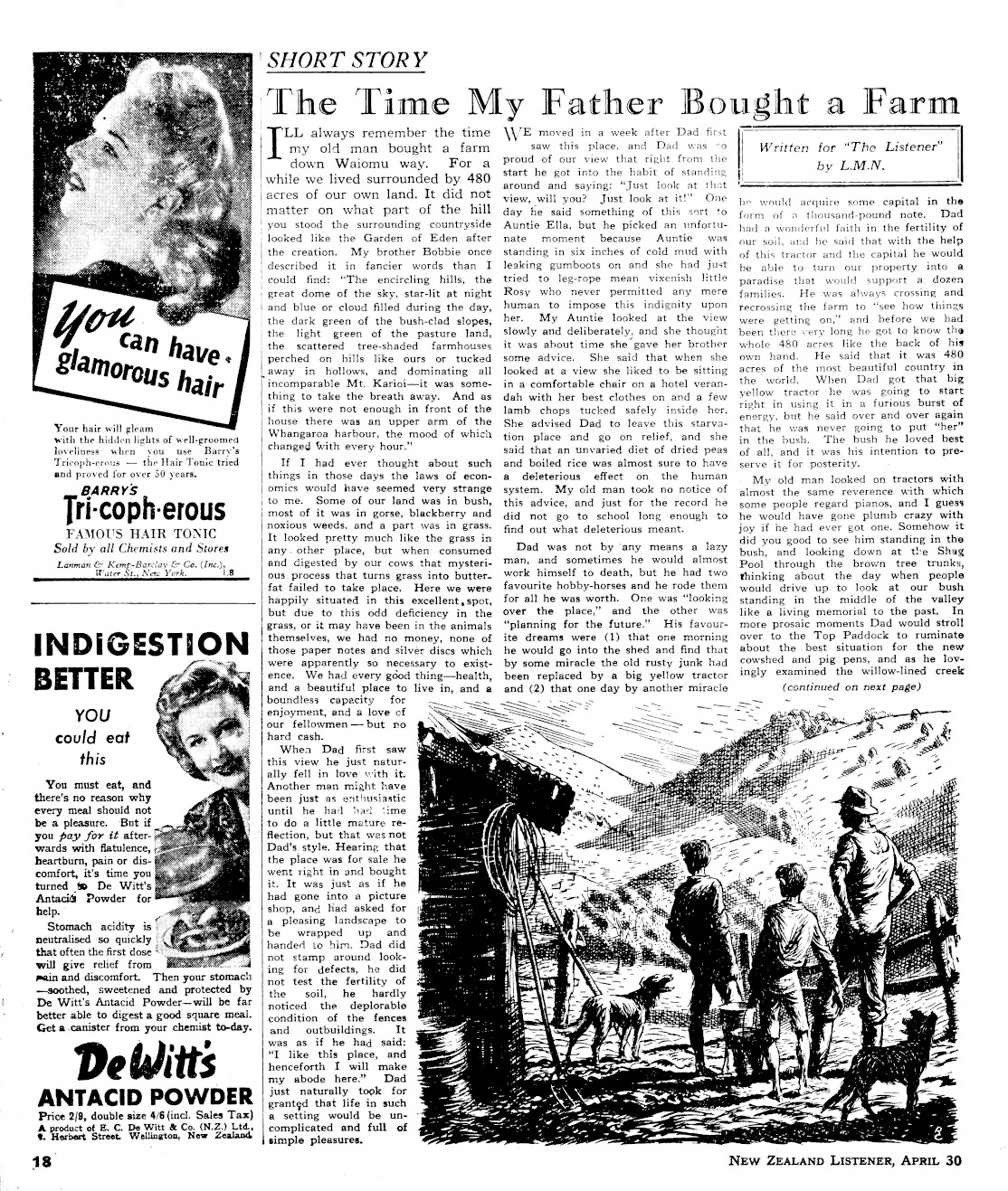Page image