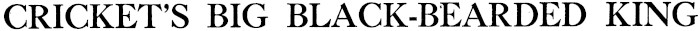 Article image