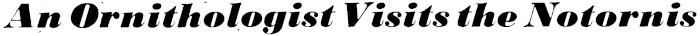 Article image