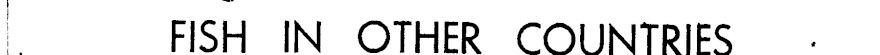 Search result preview image