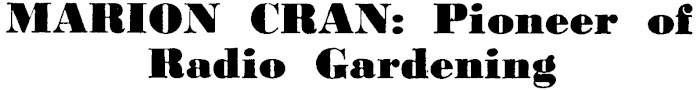 Article image