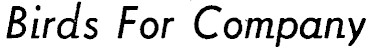 Article image