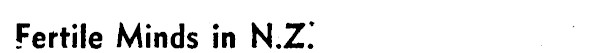 Article image