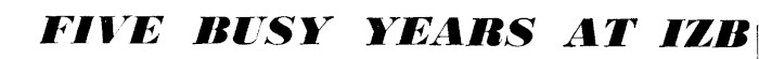 Article image