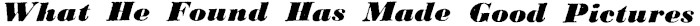 Article image
