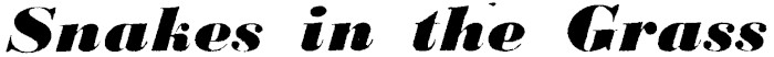 Article image