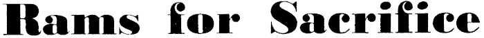 Article image
