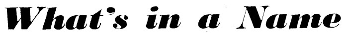 Article image