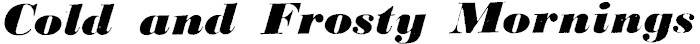 Article image