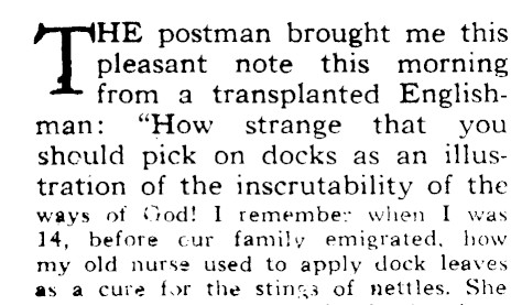 Article image