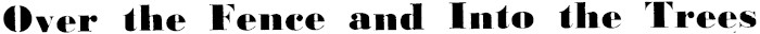 Article image