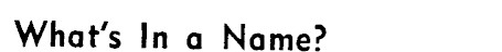 Article image