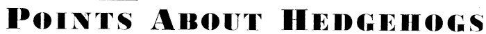 Article image