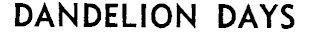 Article image
