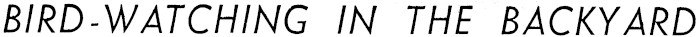 Article image