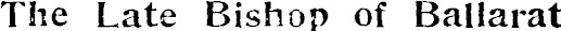 Article image