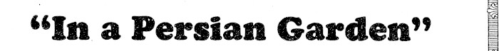 Article image
