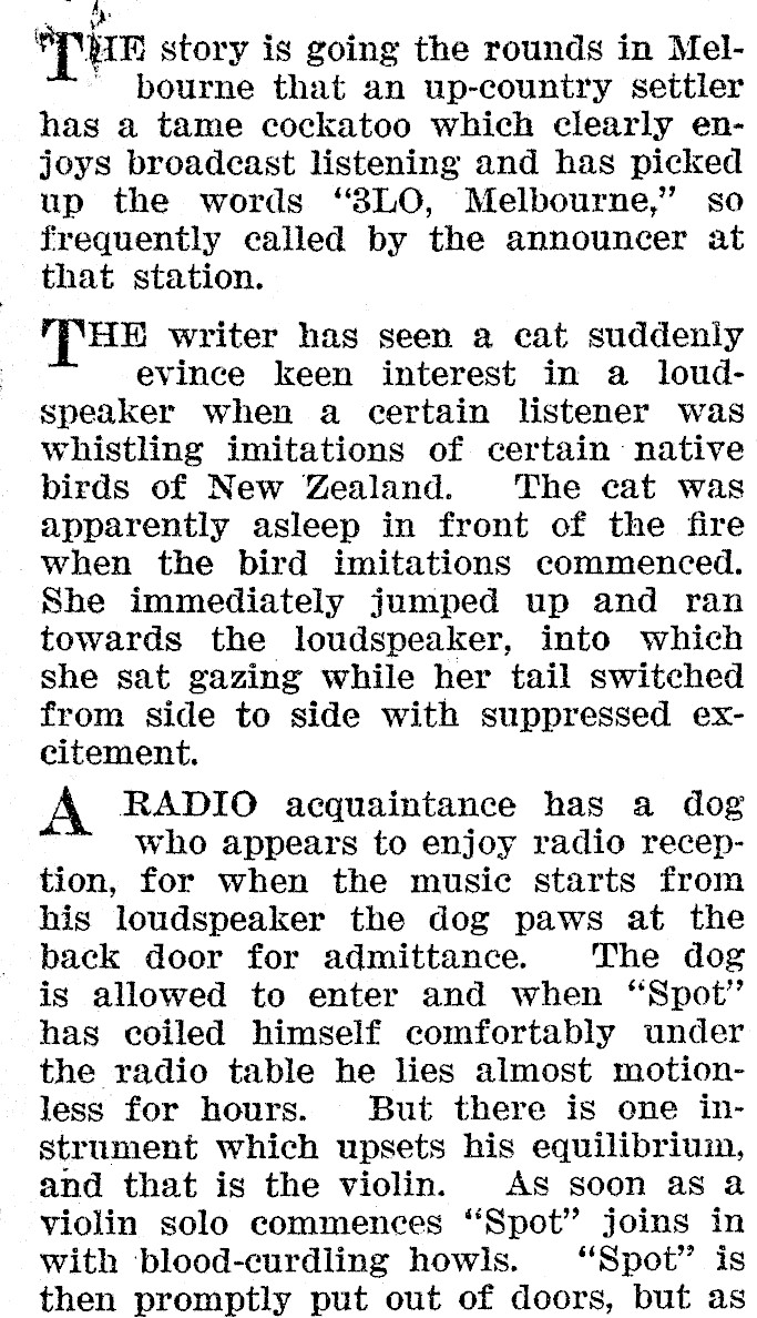 Article image