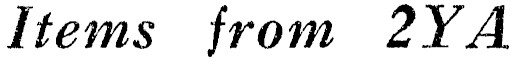 Article image