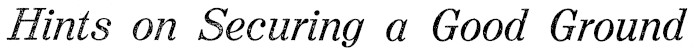 Article image