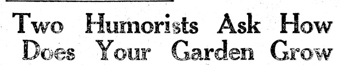 Article image