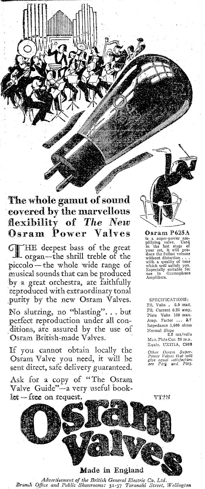 Article image