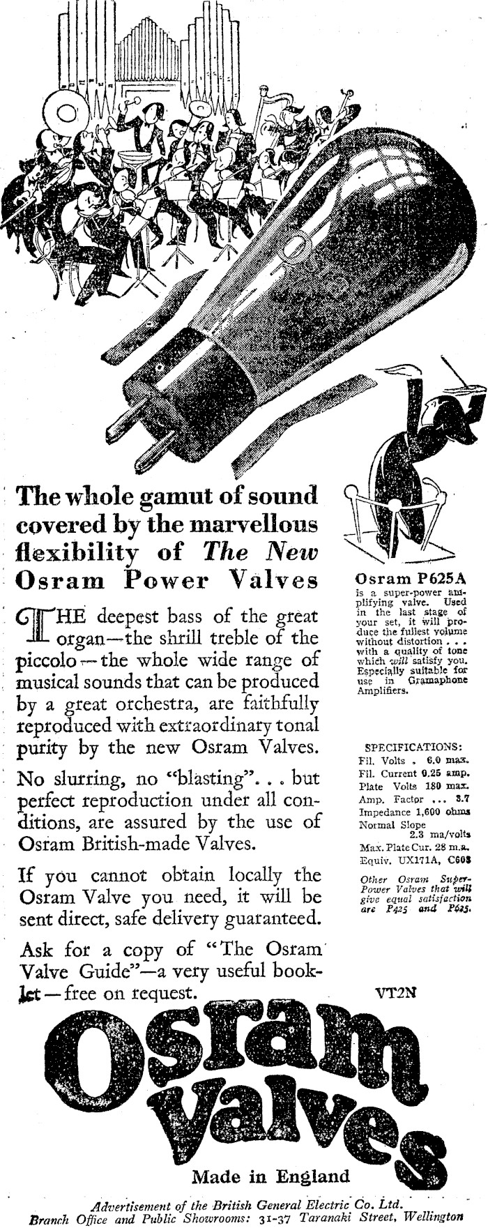Article image