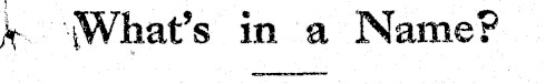 Article image