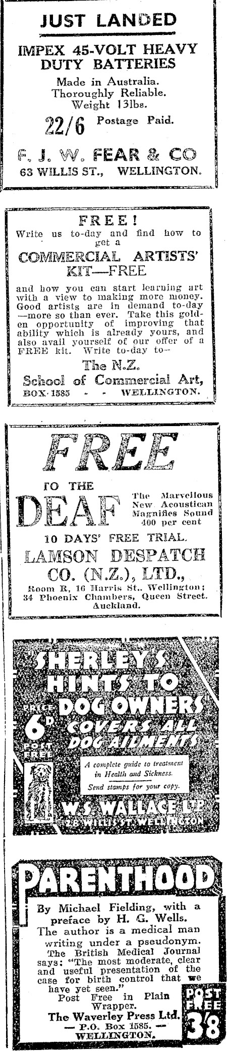 Article image
